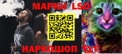 эйфоретик Малгобек