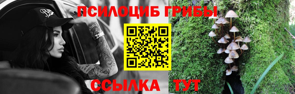 Галлюциногенные грибы Psilocybe  купить наркоту  Вход с VPN  Выборг  Галлюциногенные грибы GOLDEN TEACHER 