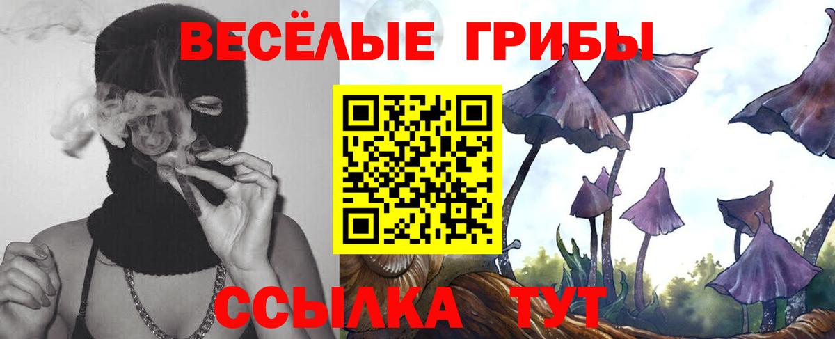 Псилоцибиновые грибы мицелий Выборг